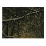 Snowy branches postcard