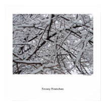 Snowy Branches posters