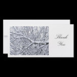 Snowy Branches - Thank You photo cards