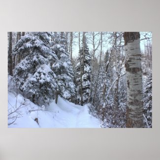 Snowy Canadian Forest Print