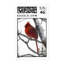 Snowy Cardinal stamps