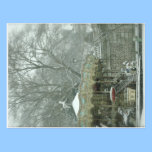 Snowy carousel Paris postcards