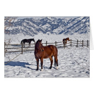 Snowy Christmas Horses In Bozeman Card