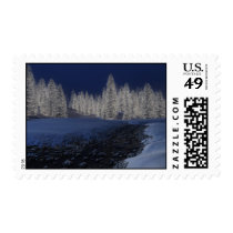 christmas, tree, night, light, Stamp with custom graphic design