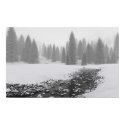 Snowy Creek posters
