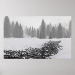Snowy Creek posters