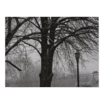 Snowy Day posters