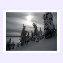 Snowy Days posters