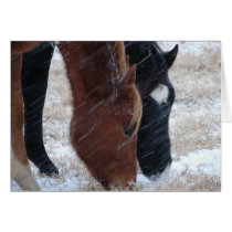 Snowy Eats cards