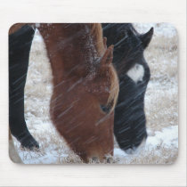 Snowy Eats mousepads