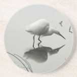 snowy egret coaster