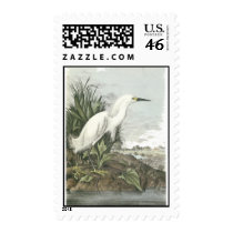 Snowy Egret, John Audubon Postage Stamps