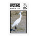 Snowy Egret, Kay Miller 2007 postage by KayWMiller Snowy Egret, Kay Miller 2007 postage