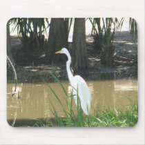 Snowy Egret Mousepads