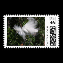Snowy Egret stamps