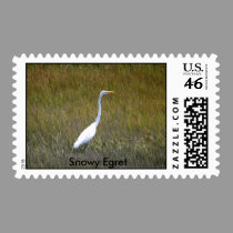 Snowy Egret postage stamp