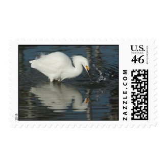 Snowy Egret Postage Stamps stamp