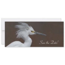 Snowy Egret Save the Date! Custom Announcements