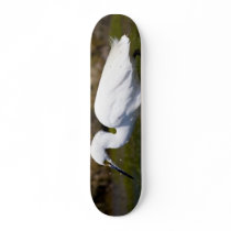 Snowy Egret skateboard