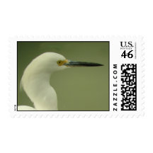 Snowy Egret Stamp