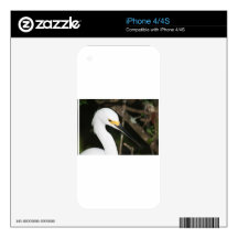 Snowy Egret Wading Bird Decal For iPhone 4