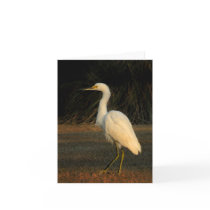 Snowy Egret Watercolor Note Card