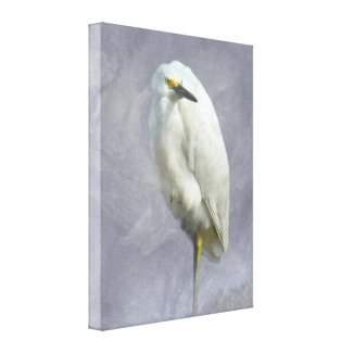 Snowy Egret Wrapped Canvas Art Print Canvas Prints