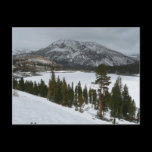 Snowy Ellery Lake Postcard