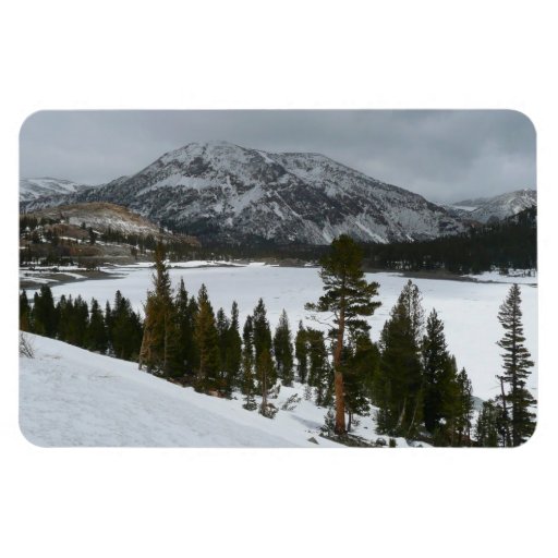 Snowy Ellery Lake Premium Magnet
