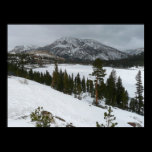 Snowy Ellery Lake Print