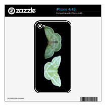 Snowy Emerald ~ iPhone 4 Skin
