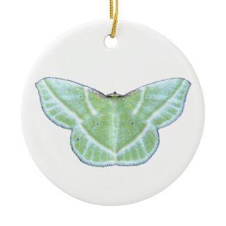 Snowy Emerald moth ~ ornament ornament