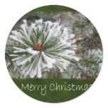 Snowy Evergreen Branches Close - Merry Christmas stickers