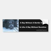 Snowy Face Border Collie Cute Dog Bumper Sticker