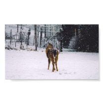 snowy fawn posters