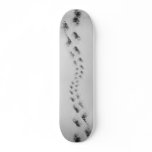 snowy footsteps skateboard