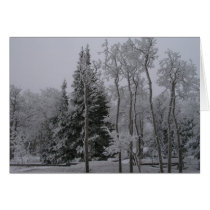 Snowy Forest cards