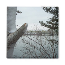 Snowy forest. magnets