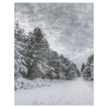 Snowy Forest Scene Custom Flyer