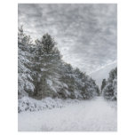 Snowy Forest Scene flyers