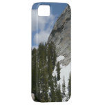 Snowy Granite Domes iPhone 5 Case
