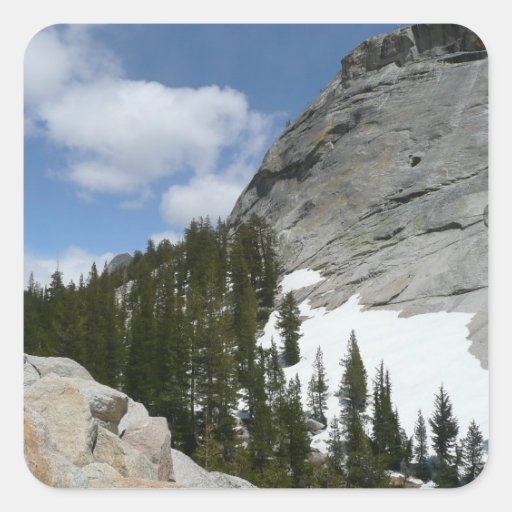 Snowy Granite Domes Sticker