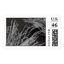 Snowy Grass postage by kapulani Snowy Grass postage