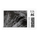 Snowy Grass postage by kapulani Snowy Grass postage