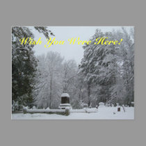 Snowy Graveyard postcards