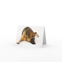 Snowy GSD - Card