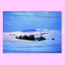 Snowy hills