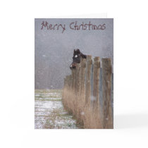 Snowy Horses, Merry Christmas cards