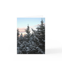 Snowy Junipers (Blank) cards