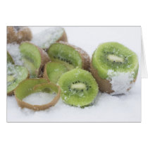 Snowy Kiwi cards